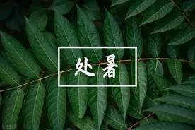 「七月半鸭，八月半芋」处暑时节鸭子最肥美，5道鸭子家常菜走起图片