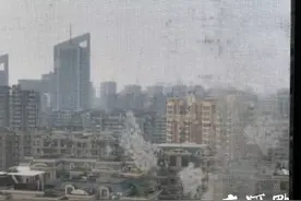 南京街头飘的白色飞絮是啥，里面有虫子？专家解答来了图片