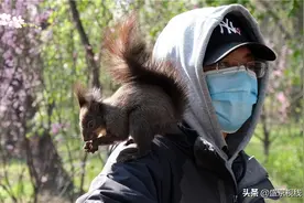 松鼠与人们互动,上演了人类与动物和谐的场景图片