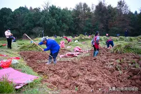 冬天里，鹰潭好吃的“土特产”真不少图片