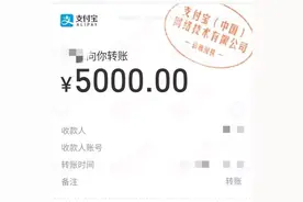 只有支付宝转账记录，可否认定借贷关系成立？图片