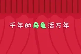 六一儿童节特别礼物 |《千年的乌龟活万年》儿歌来袭！图片