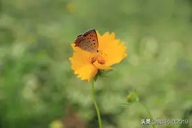 意外发现小水沟，拍出了几张大片。最后两张照片还原真实现场…图片