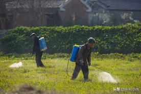 除草剂上午喷好还是下午喷好？这样判断，错不了图片