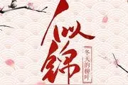 冬天的柳叶成名作《似锦》，完结后口碑炸裂剧情环环相扣，值得追图片