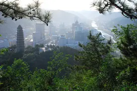 果园防冻有神器 物美价廉受热捧洛川县苹果研发中心发明摩托式烟雾发生器图片