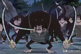 海贼王：那些很厉害的动物，你知道有哪些吗？图片