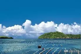 正式开放！海洋三所创新“海洋生物产业化中试平台” 打造科技成果转化“孵化器”图片