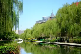 保定街拍  2020年春风吹过的故乡  万物复苏  春意盎然图片