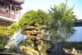 园林农庄隔山相望，古树掩映，安谧美景，不可多得的度假地图片