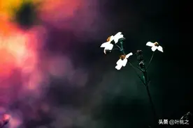 大多数人的“断舍离”，都是假的图片