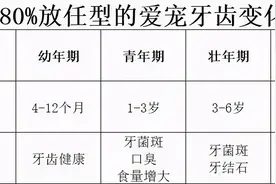 你所忽略的牙齿疾病，正在要它“狗命”....图片