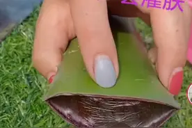抖音大火的芦荟灌肤，你可千万别入这个坑图片