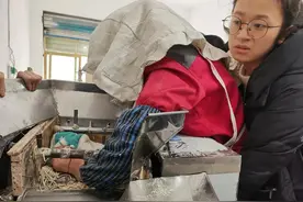 抢险救援 | 警惕！面条机，会“吃人”图片