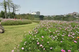 南宁江南区这么大一块地拿来建公园，登到山顶往下看才知道它多美图片