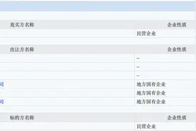 “资本猎豹”刘益谦并购国华人寿，只是一次创新空想？图片