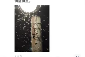 密密麻麻！最近很多人被吓得不敢开灯，只因它又来袭图片