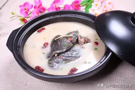 优质甲鱼挑选技巧图片
