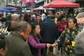 全民经济摆摊之卖鸡苗鸭苗图片