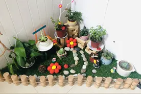 最美幼儿园环创，植物角新玩法，让孩子探索自然的起点图片