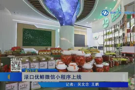 株洲渌口三农：渌口优鲜微信小程序上线图片