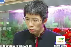 你收到支付宝红包的短信轰炸了吗？视频封面
