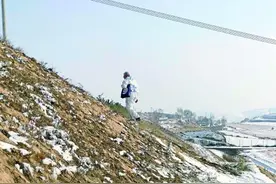 来黄土高原养羊，这位澳大利亚人图什么？图片