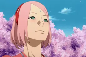 曾有三人呼唤佐助回木叶村，前两人都被拒绝了，唯独他有求必应图片