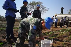 非洲人食不果腹总是埋怨土地，看看中国维和士兵种的菜：真打脸图片