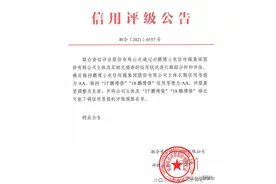 鹏博士5.35亿债务逾期，多元化外延式扩张资金紧绷图片