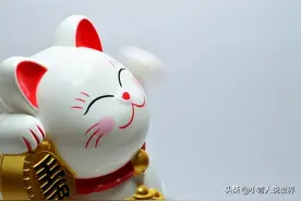 日本学校的奇葩校规，只要求穿白色内衣裤图片