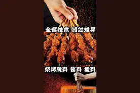 全套烧烤技术，酱料，腌料，撒料图片