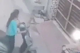 爆笑：我说为啥我家住16楼，怎么还有老鼠呢图片