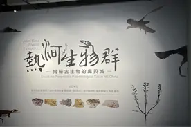 热河生物群与燕辽生物群化石发现与研究大事记（三）图片