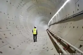 看！一纵+一横！图片
