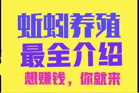 养殖蚯蚓利润高，技术简单好养活，想赚钱的别错过图片