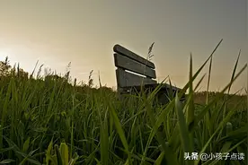 魏晋曹丕《芙蓉池作》古诗欣赏及解析 涨知识图片