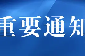 无力回天！*ST银鸽疯狂“挣扎”后股价跌破面值，退市已成定局图片