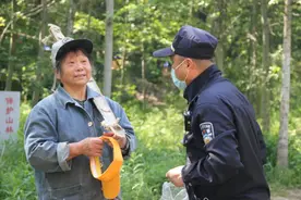 What？铁路绿化带成了“私家菜园”？图片