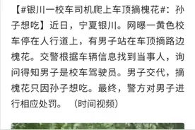 银川一校车司机爬上车顶摘槐花：孙子想吃图片
