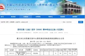起始价超1.5亿！中心城区约7.5万方商业用地挂牌出让图片