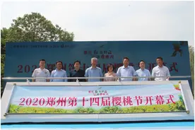 樱红“郑”当时 云游樱桃沟第十四届郑州樱桃节今天“线上”开幕图片