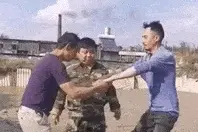 10大动图：​我把你当兄弟，你却当我傻图片