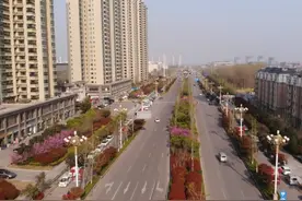 视频 | 航拍太白湖新区交通干道“花开添彩”图片