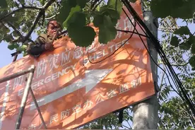 事发人民公园！指示牌风中摇摇欲坠，幸好......图片