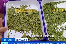 一斤龙井卖3万多元？！同一产地，价格竟差1倍！究竟差在哪儿？图片