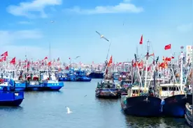 追江赶海游启东图片