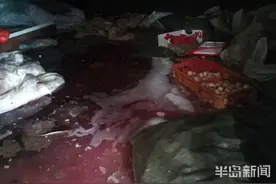 惨不忍睹！天降大雨养貂场被淹，损失惨重养殖户心碎图片