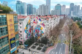上海市文明社区和文明镇的先进名单正在公示！有你住的地方吗？图片