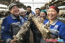 从“根”上帮扶 帮扶到“根”上——中国建筑挂职康乐县何家沟村第一书记牛军帅图片